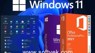 Windows 11 Pro Free Download